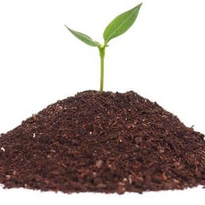 Универсальный субстрат для кровельного озеленения "СУБСТРАТ КС"